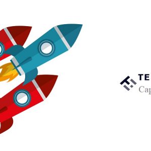 Tekedia Capital Membership Fee of 4 Investment Cycles